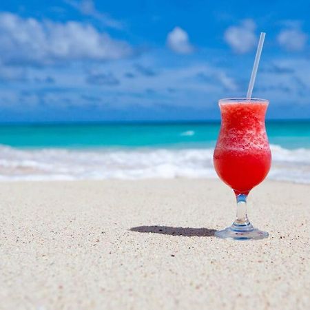 Le Palmier Bleu, Cocon Tropical, Plage & Piscine Anse Marcel Eksteriør bilde