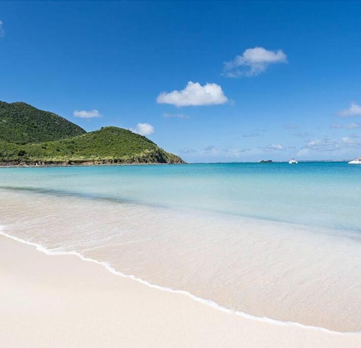 Le Palmier Bleu, Cocon Tropical, Plage & Piscine Anse Marcel Eksteriør bilde