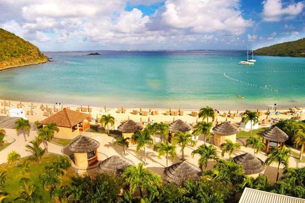 Le Palmier Bleu, Cocon Tropical, Plage & Piscine Anse Marcel Eksteriør bilde