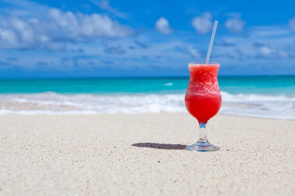 Le Palmier Bleu, Cocon Tropical, Plage & Piscine Anse Marcel Eksteriør bilde